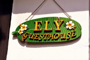 Гостиница Ely Guest House  Элай